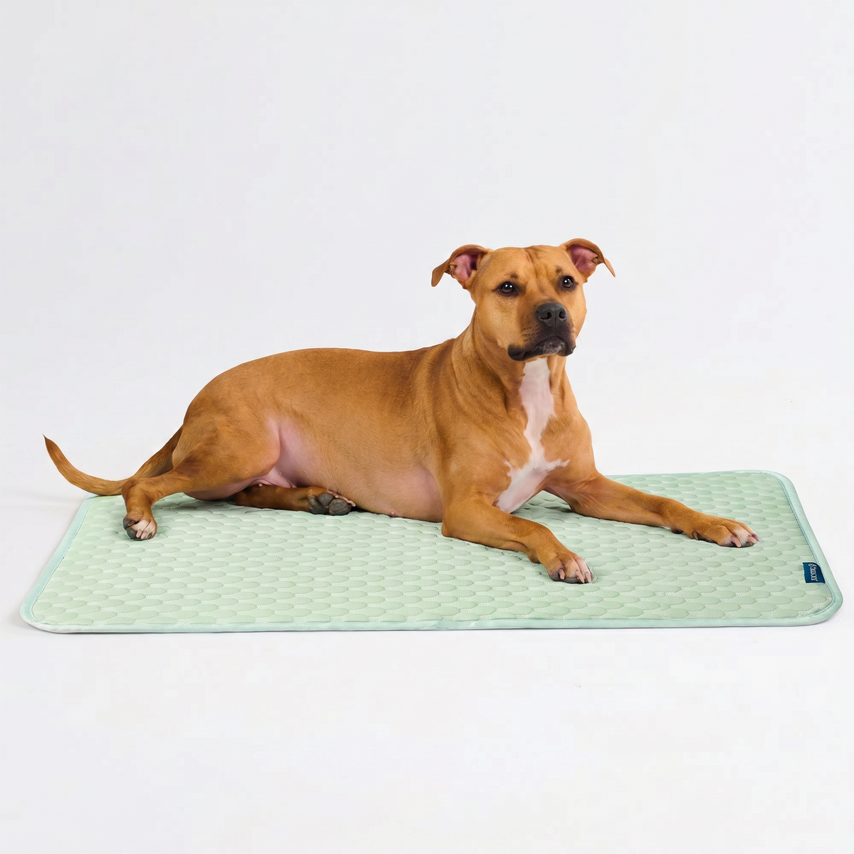 Breathable Cooling Dog Mat Orb Green / XL