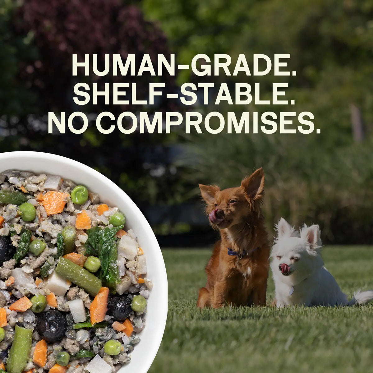 3-Carton Sample Pack (6 Meals) product image 3
