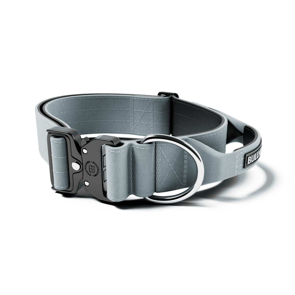 Wide Control-Handle Dog Collar product image 1