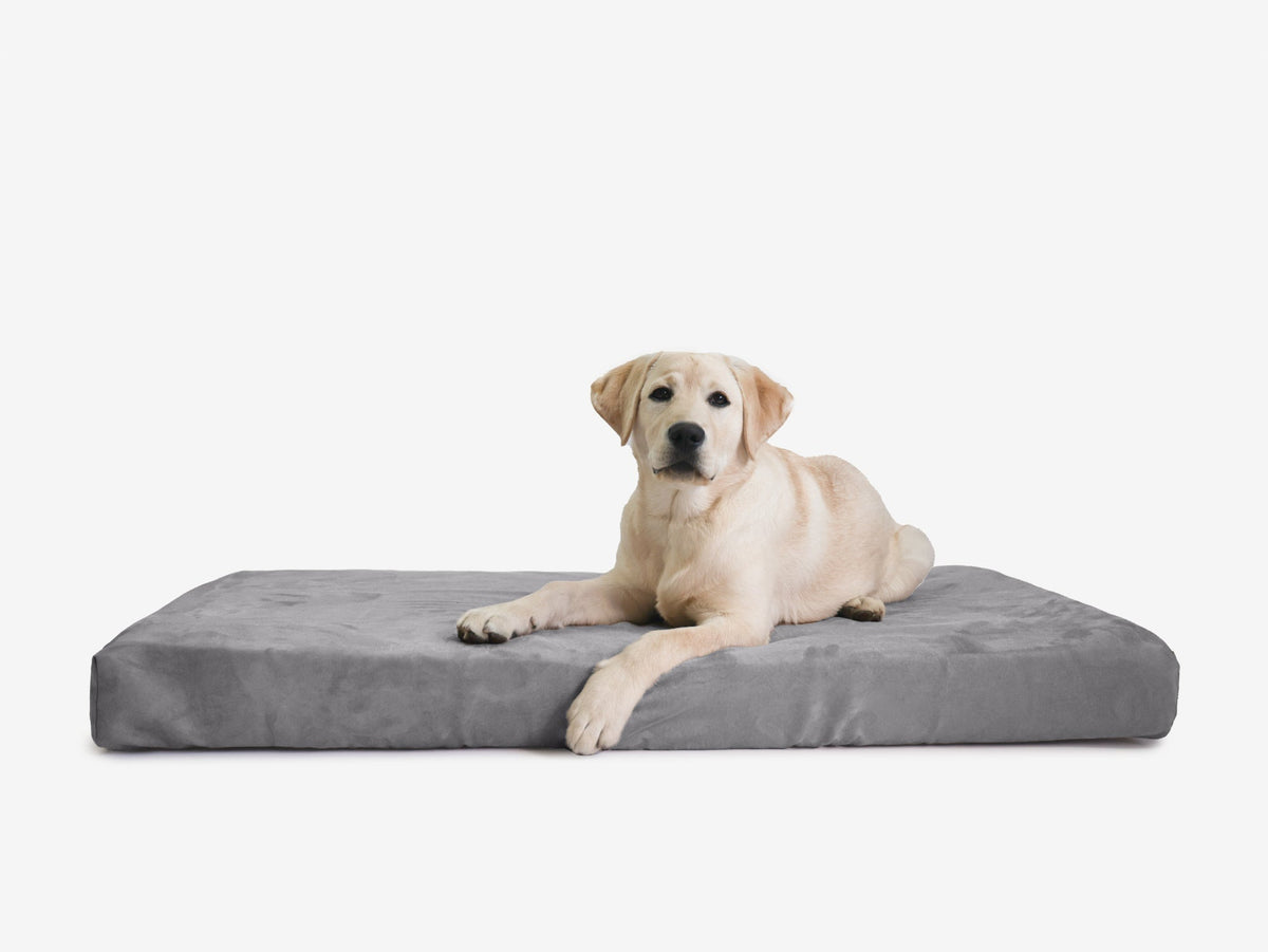 Orthopedic Dog Crate Bed Extra Large - 44.8" X 27" X 4" / Charcoal Gray