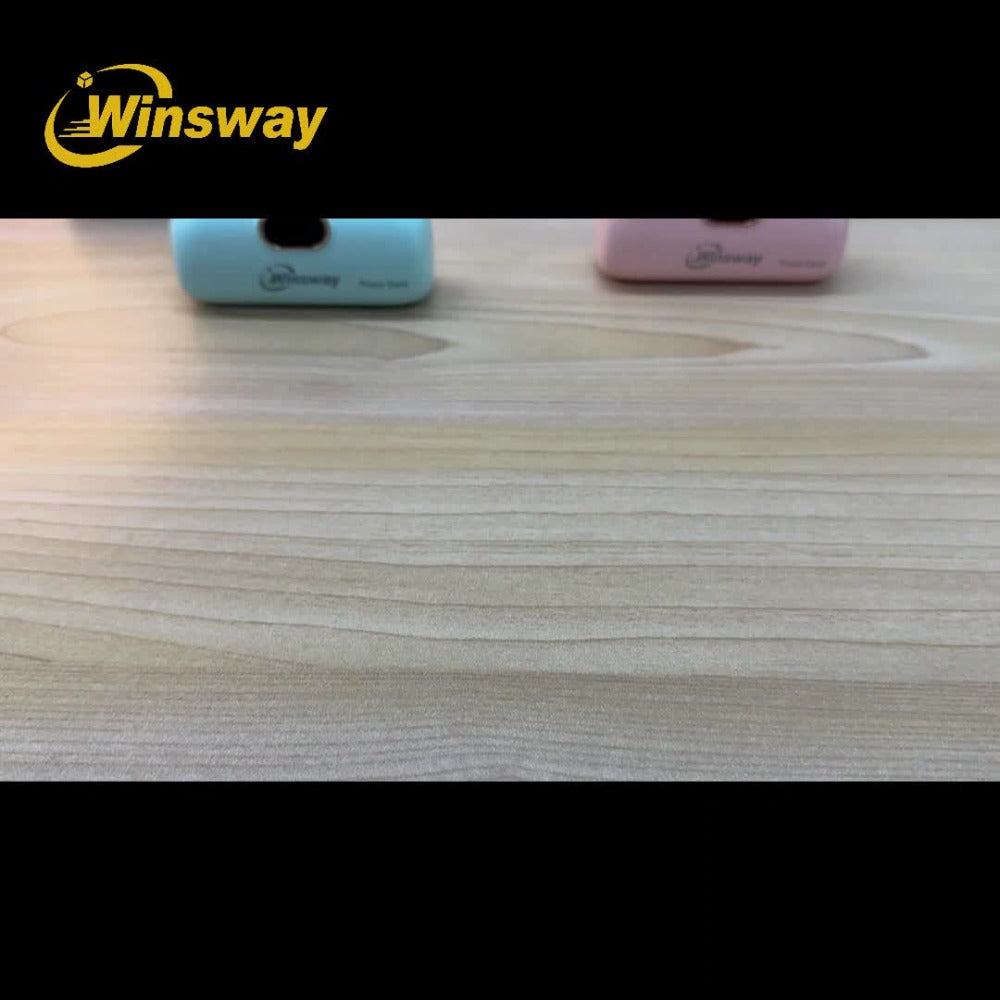 Winsway 5000mAh Mini Portable Charger Type-C Metal Plug with LED LCD Display for an Everyday Personal Care Routine