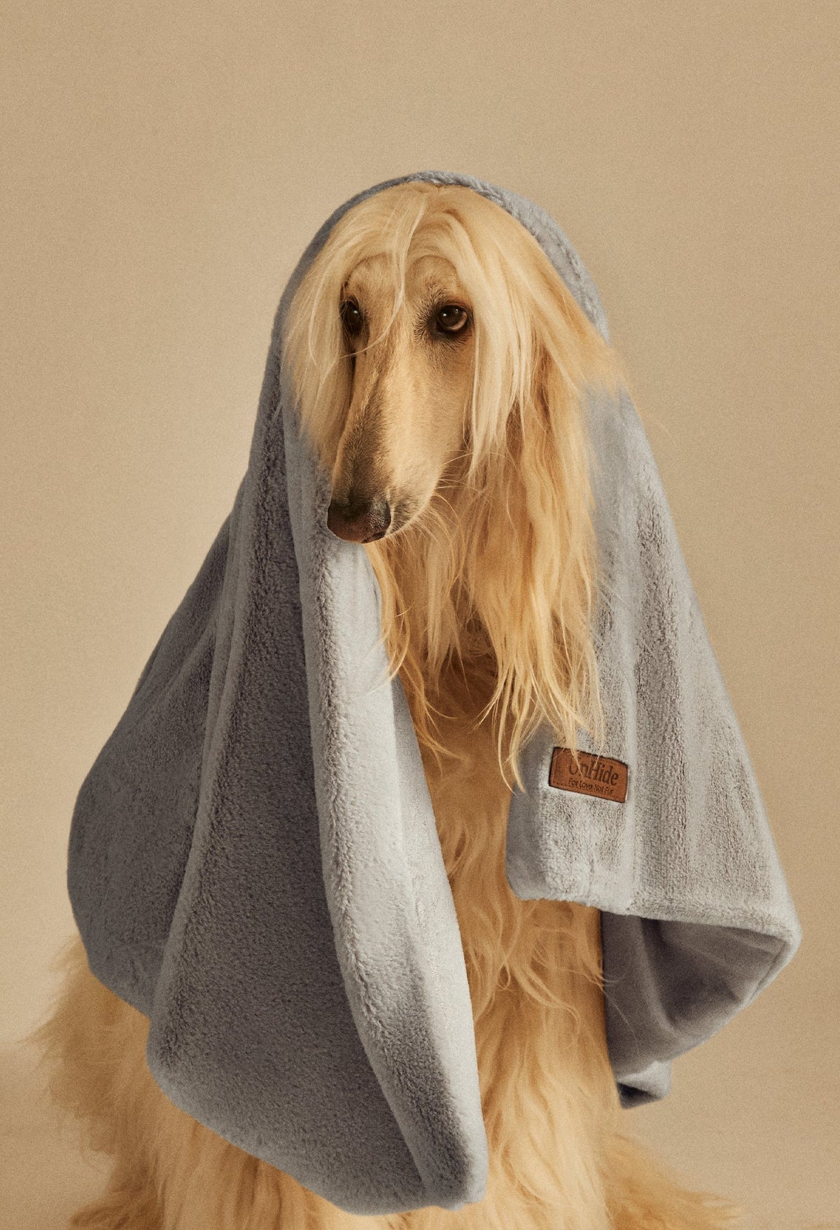 Water-Resistant Pet Blanket Greige Goose
