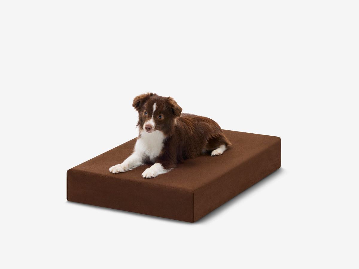 Orthopedic Dog Crate Bed Small - 27" X 18.2" X 4" / Chocolate