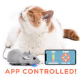 App Controlled Mouse Cat Toy, Default Title