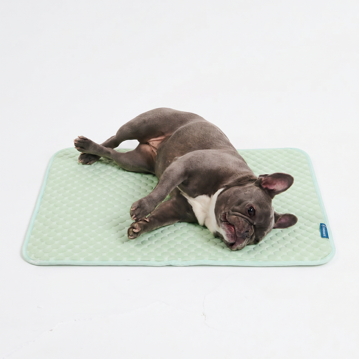 Breathable Cooling Dog Mat Orb Green / M