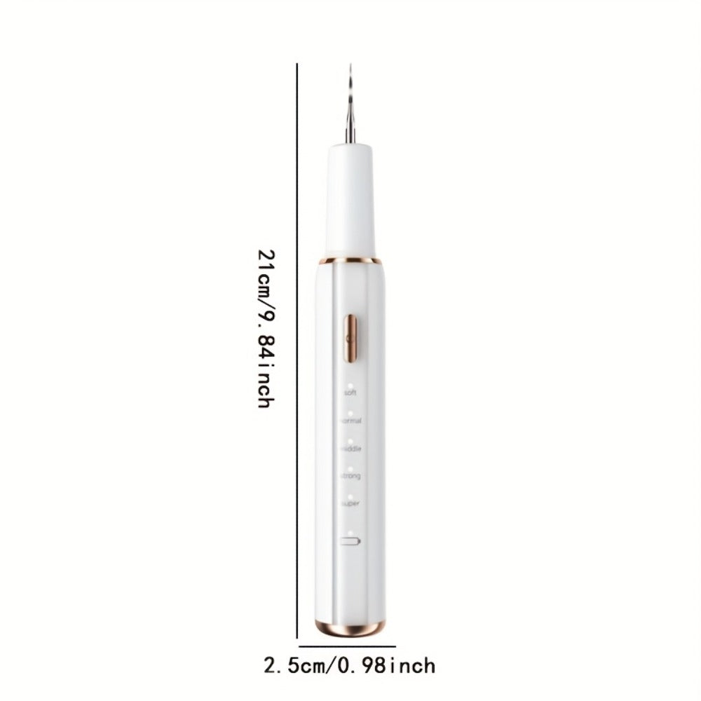 Interdental Plaque Remover with LED Light, Electric Teeth Cleaner, 5 Cleaning Modes, 2 Replacement Heads