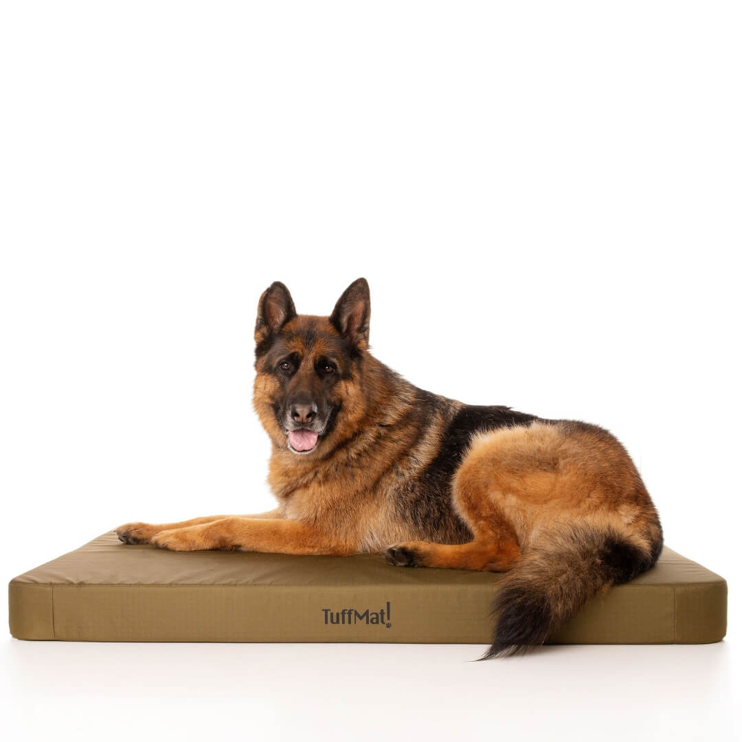 Waterproof Orthopedic Dog Bed Army Green / Medium