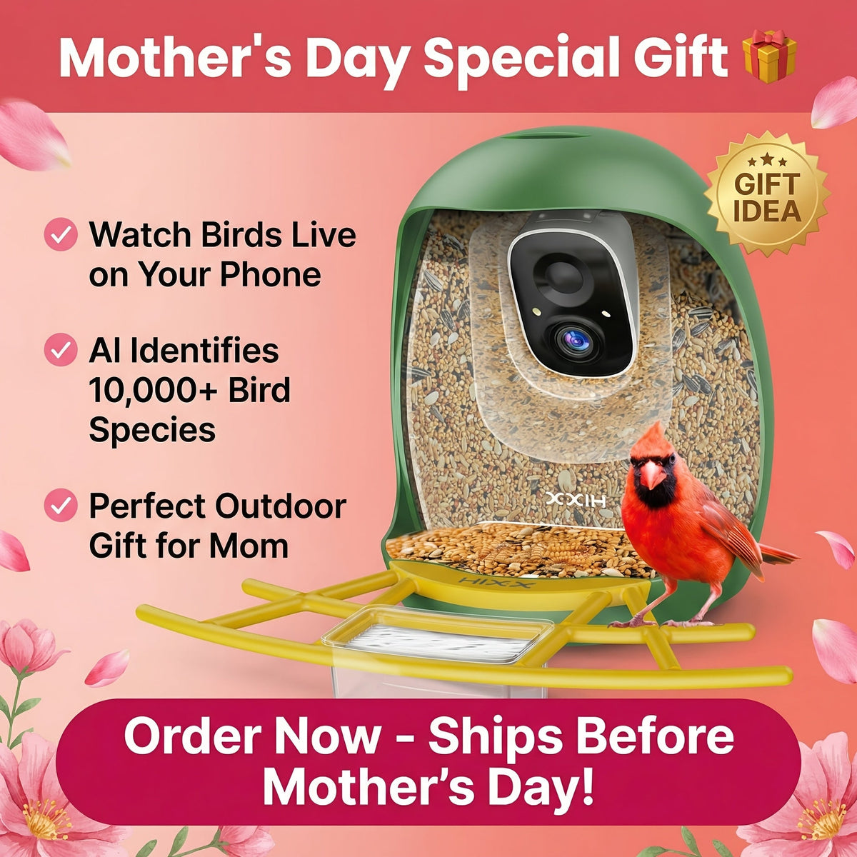 Smart Bird Feeder with Camera AI Bird Identification, 2K HD Live View, Auto Capture & Color Night Vision