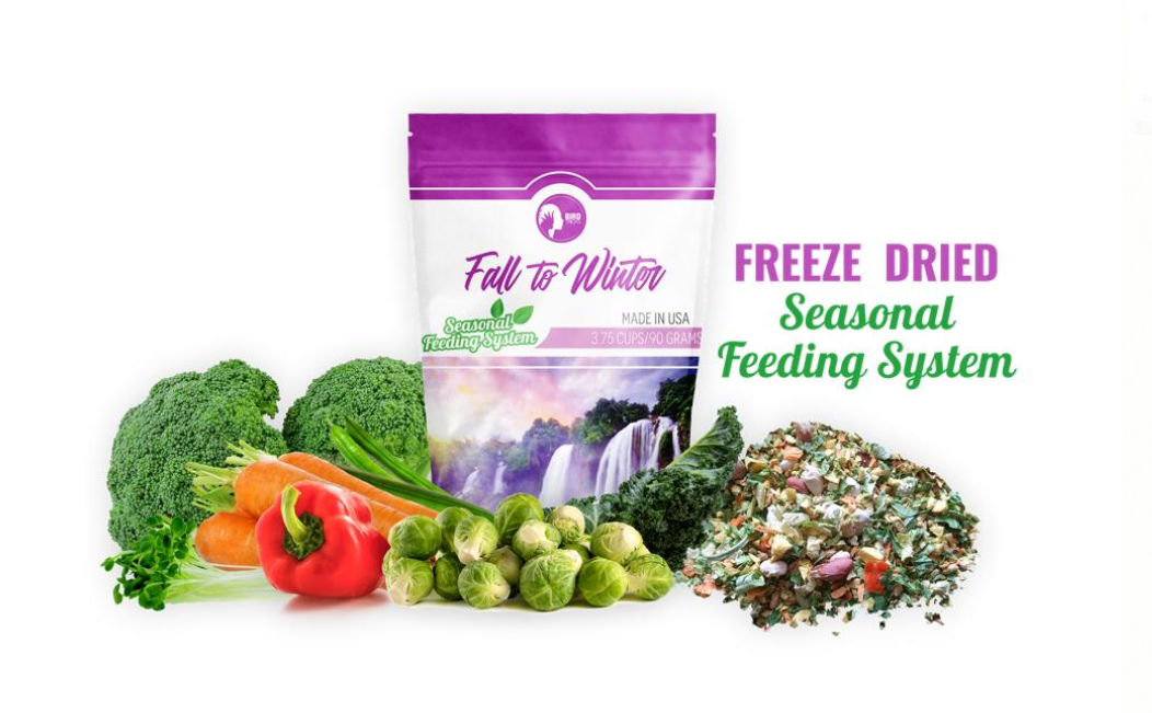 Freeze-Dried Seasonal Parrot Food, Current Season