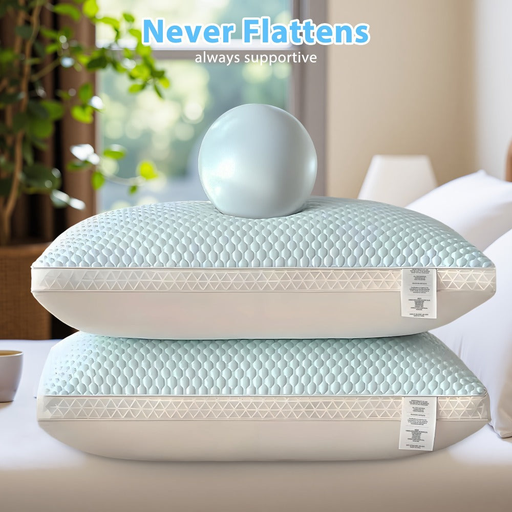 Bed Pillows 2 Pack for All Sleeping Positions, Premium Polyester Fill Pillow Set for Side Back Stomach Sleepers