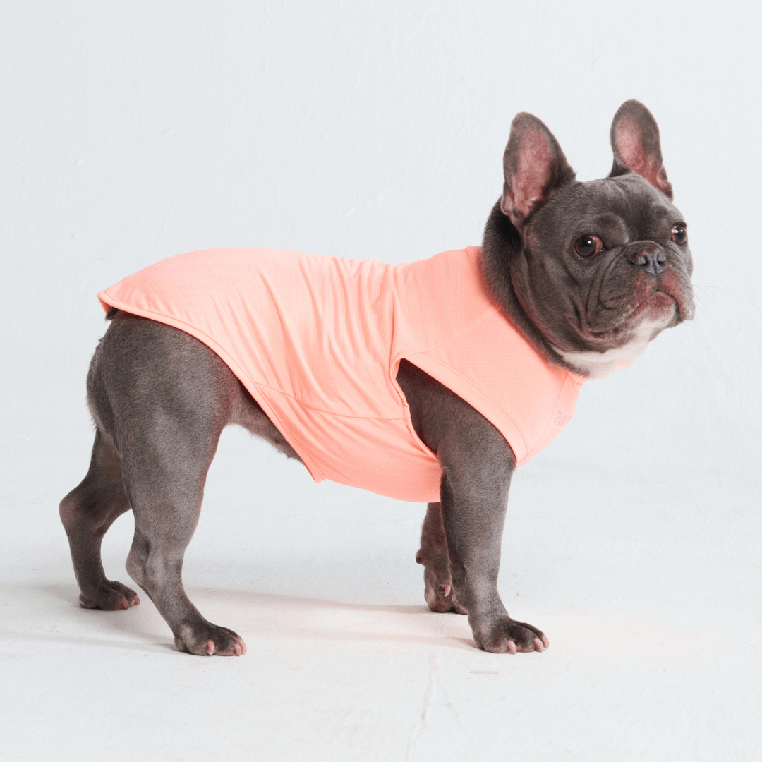 UPF 30 Dog Sun Shirt, Peach Shirt / S