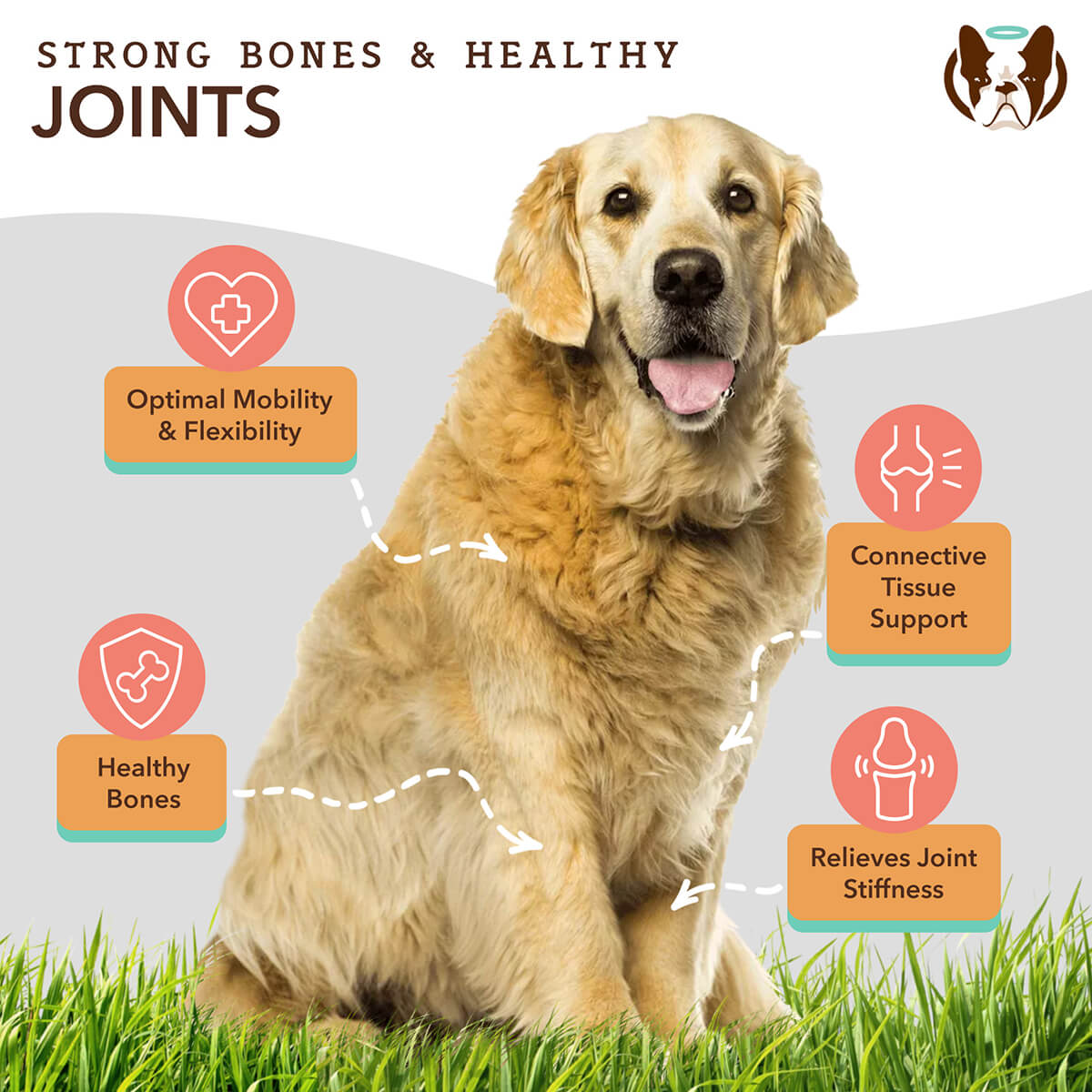 Dog Hip and Joint Soft Chews product image 2