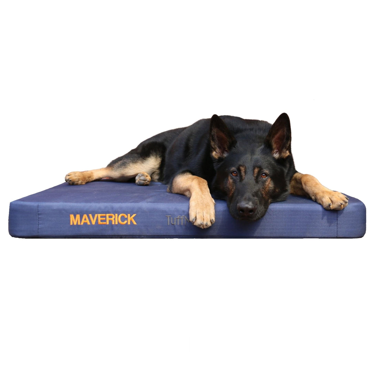 Waterproof Orthopedic Dog Bed Navy Blue / Small