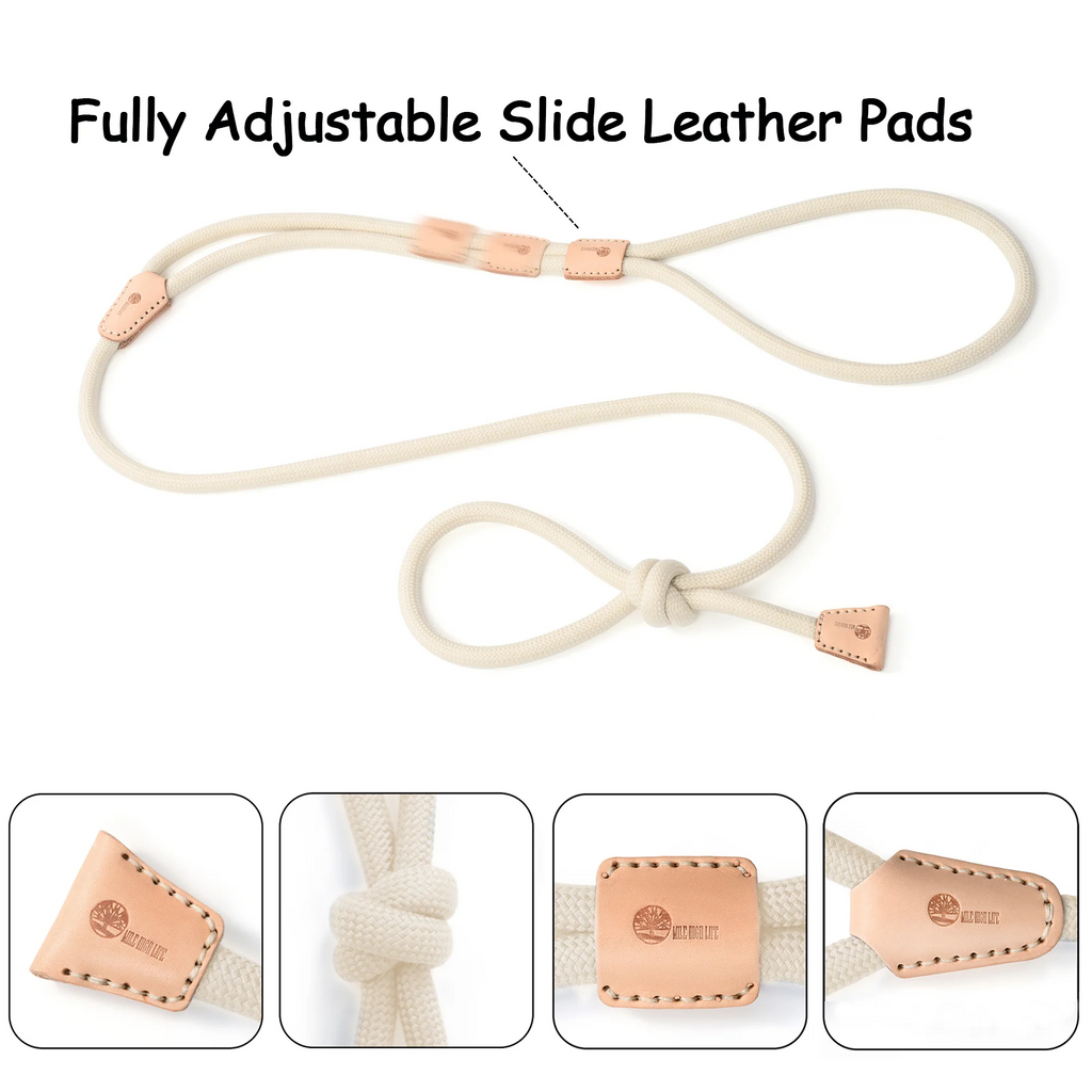Dog Slip Leash and Harness 2-in-1 Rope Lead – No Pull All-in-One Training Leash for Puppies & Small Dogs, Adjustable Slip Lead with Soft