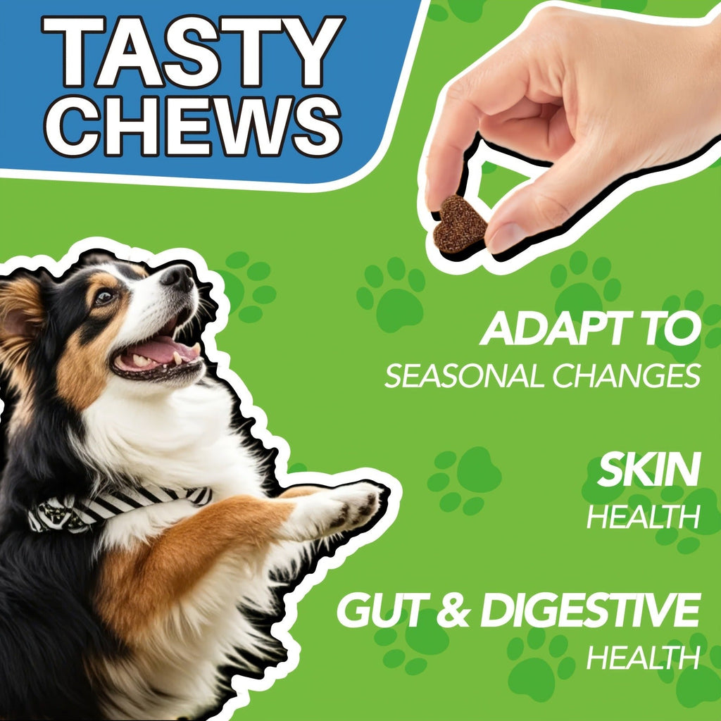 Dog Skin & Immune Probiotic Chews with Bovine Colostrum – 6 Billion CFUs, Dried Fermentate & Astragalus for Skin Calm & Immune Support