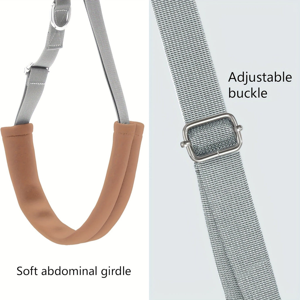 Dog Grooming Restraint Strap Set with Three Adjustable Grey Loops and Rotating Clips for Supported Use