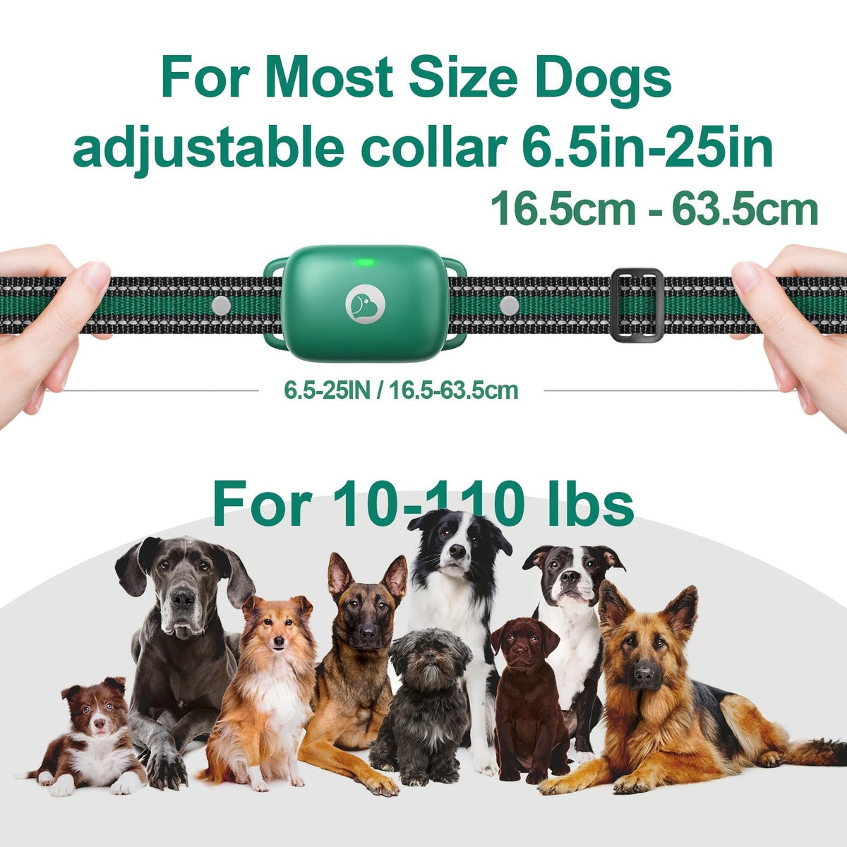 Dog Training Collar Green Remote Set with 730-Meter Range, Three Cue Modes and Two- or Three-Receiver Options