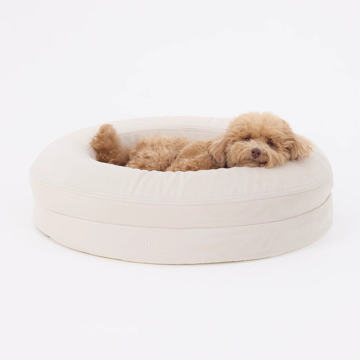 Round Orthopaedic Dog Bed Bone / S