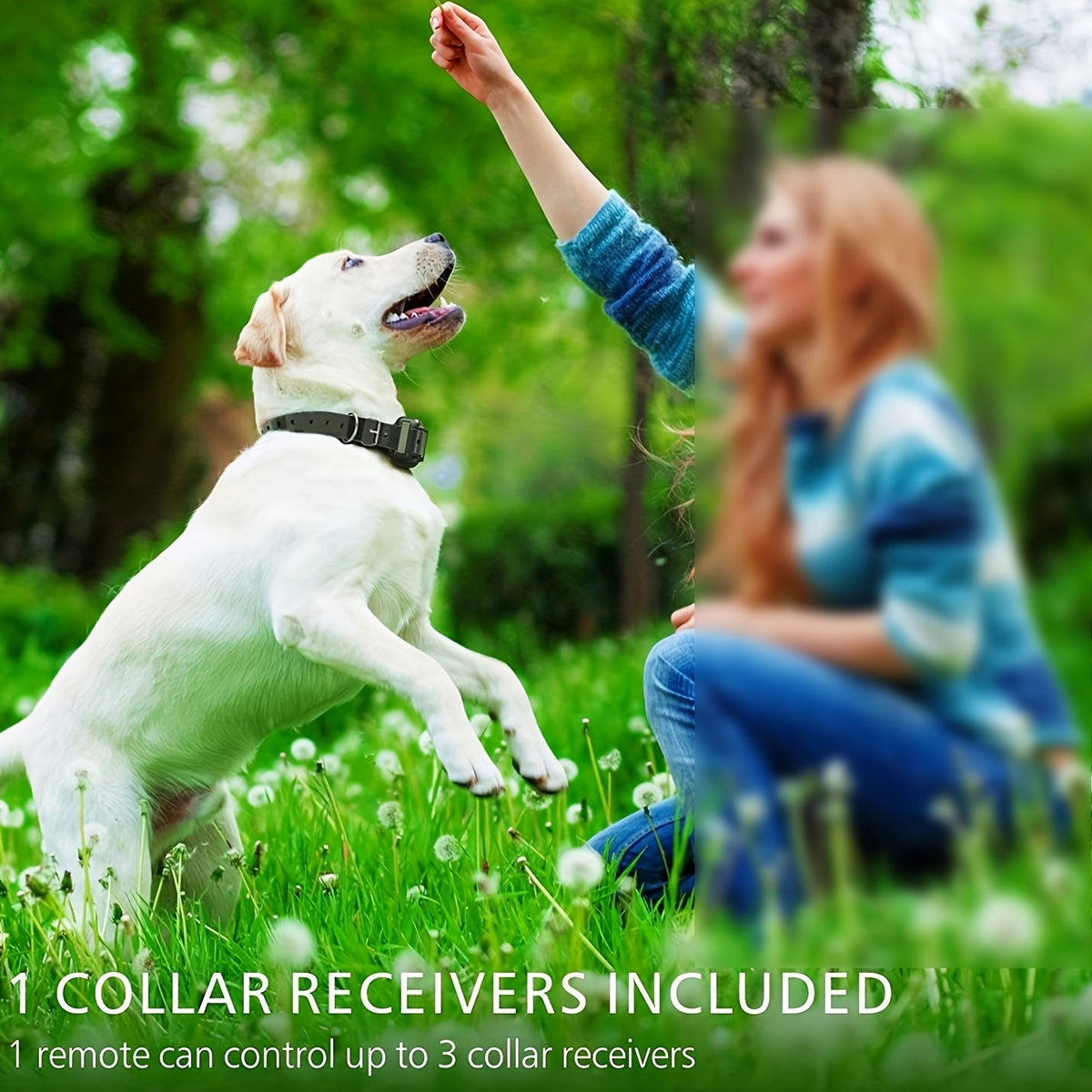 Dog Training Collar L-808 Remote Set with Beep, Vibration and Static Modes, USB Charging and One Receiver