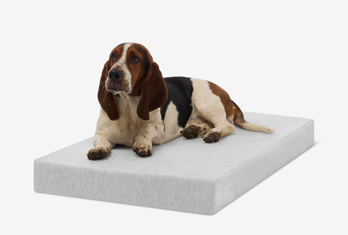 Orthopedic Dog Crate Bed Large - 39" X 25.5" X 4" / Stormcloud Linen