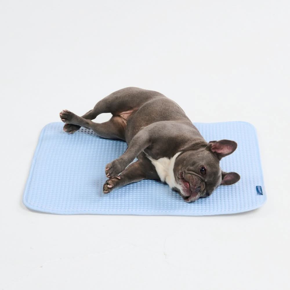 Breathable Cooling Dog Mat Waffle Blue / M