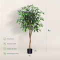 Artificial Ficus Tree with Braided Trunk, Full Green Canopy, Black Pot and 4, 5 or 6 ft Height Options
