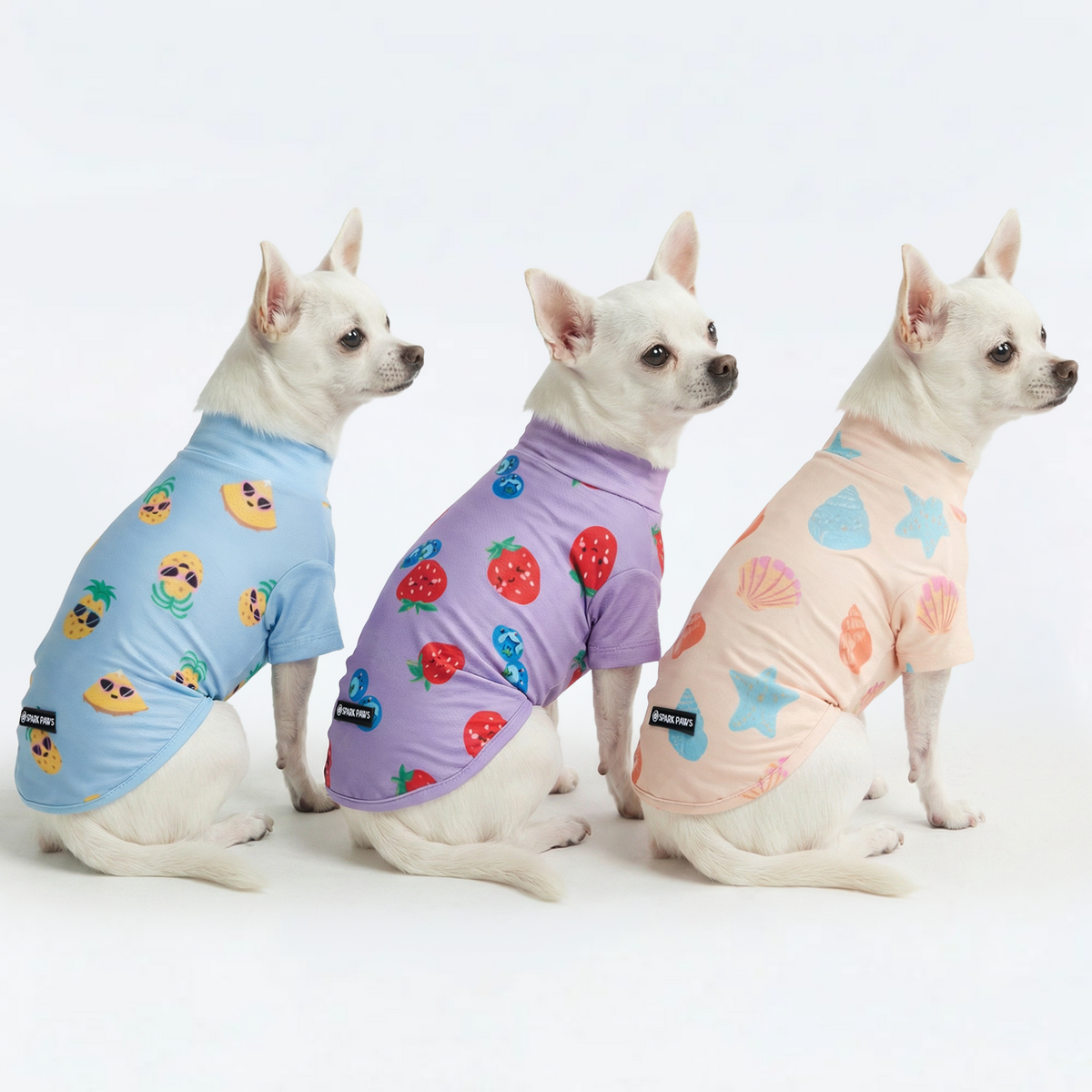 UPF 30 Dog Sun Shirt, Seashell Berries Pineapple / S