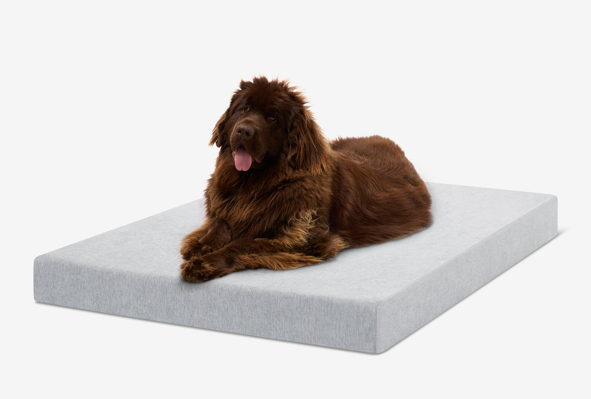 Orthopedic Dog Crate Bed XXL - 50" X 32" X 4" / Stormcloud Linen