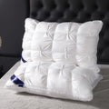Luxury Hotel Pillows 2PCS, Cool Breathable Pillow Insert, Fluffy Resilient Neck Support, Comfortable Sleeping Pillow