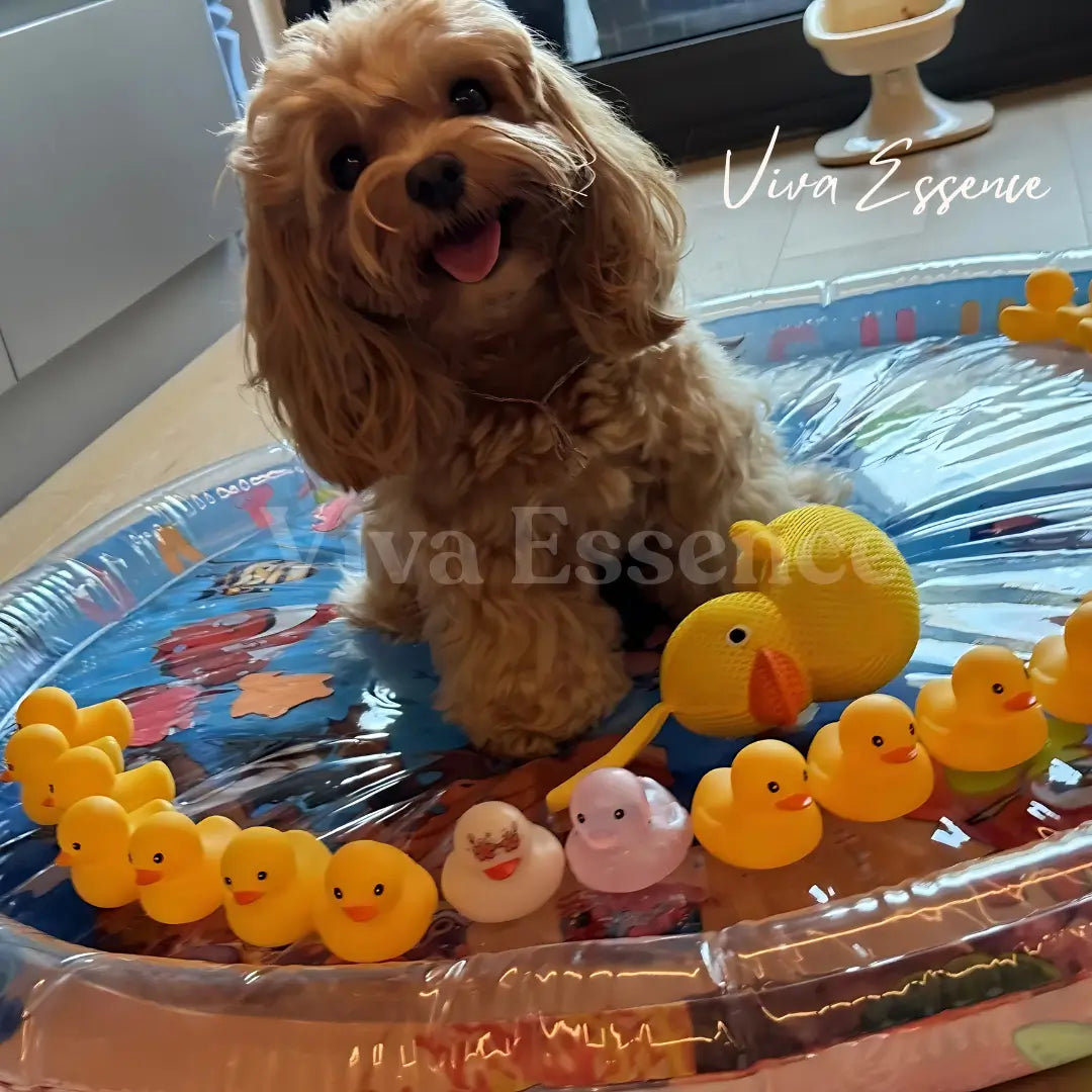 Water-Filled Dog Cooling Bed GentlePaw For Gentle Fur Babes / Large Size