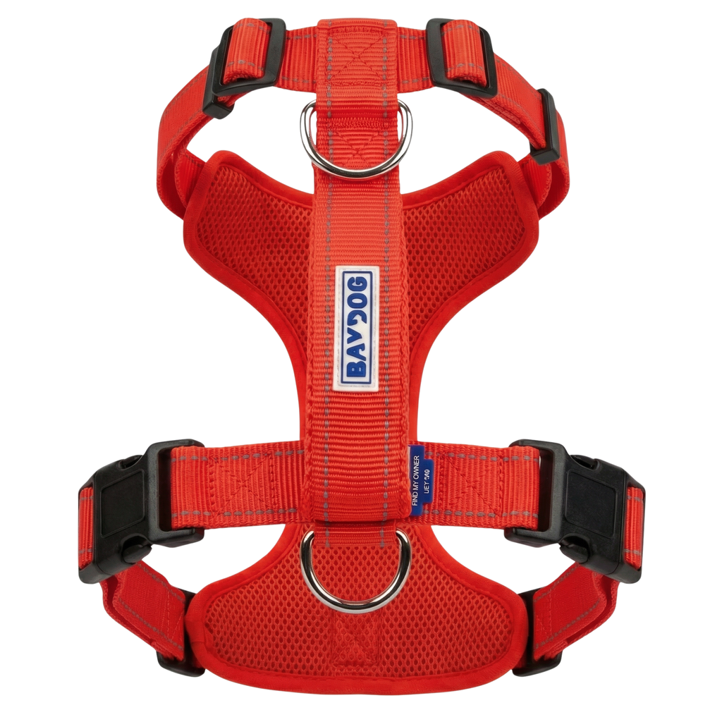 Chesapeake Bay Dog Harness