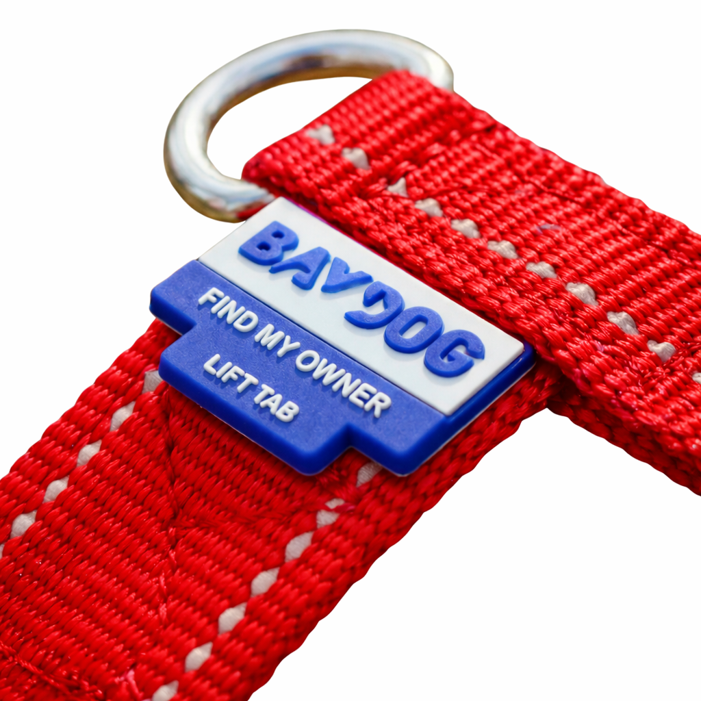 Chesapeake Bay Dog Harness