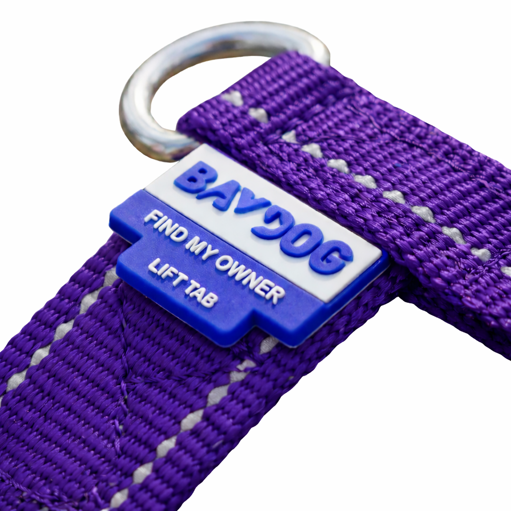 Chesapeake Bay Dog Harness