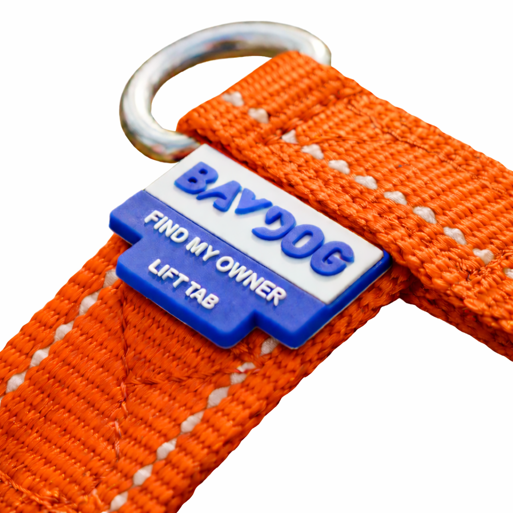 Chesapeake Bay Dog Harness