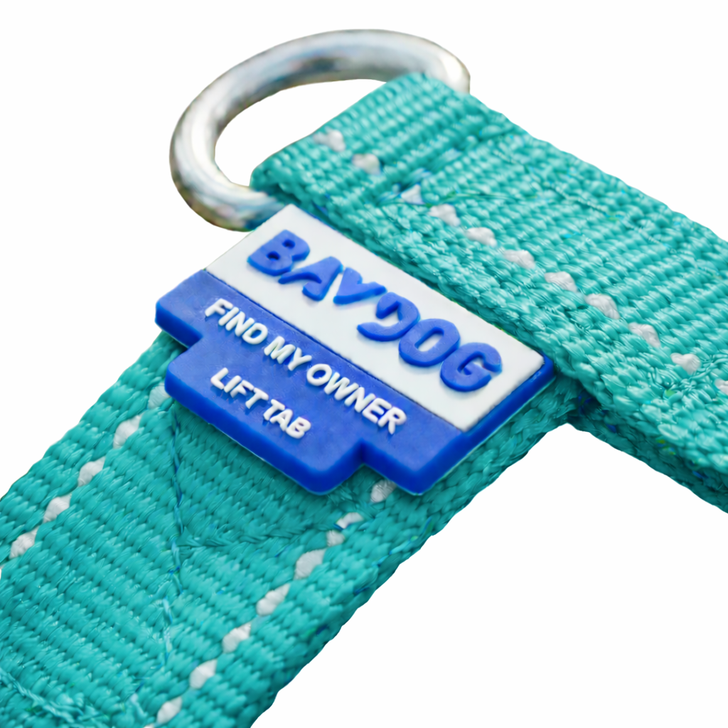 Chesapeake Bay Dog Harness