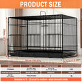 Bird Cage Large Foldable Metal – Escape-Proof Indoor Aviary for Pigeons Parrots & Small Birds with Perches