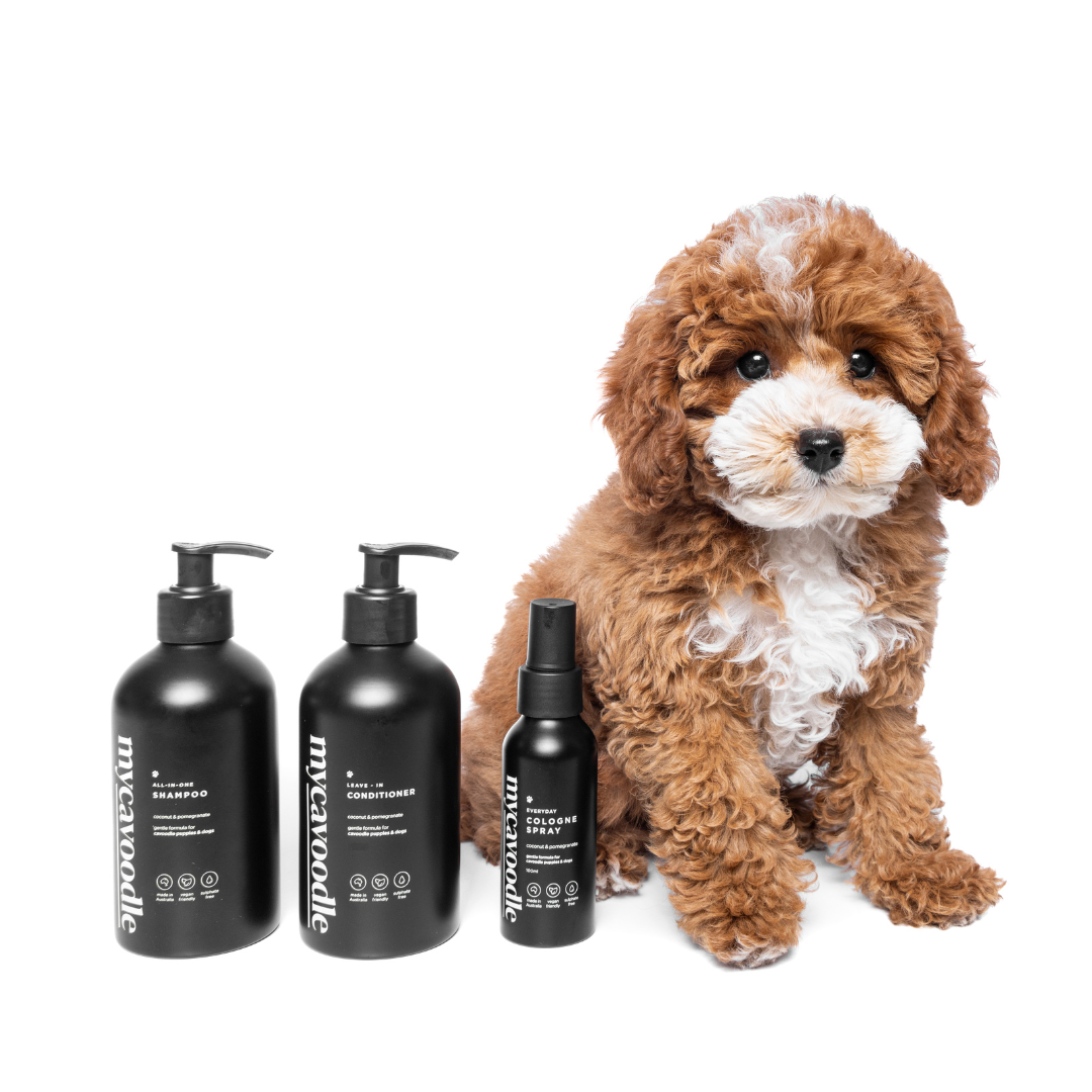 Cavoodle Dog Shampoo product image 6
