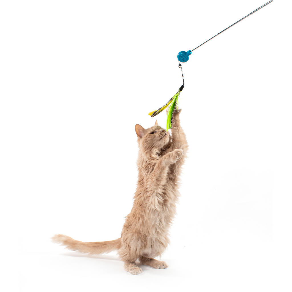 Telescoping Cat Wand Bundle product image 2