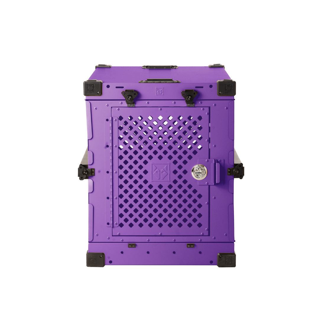 Collapsible Hard-Sided Dog Crate, 24" / Purple