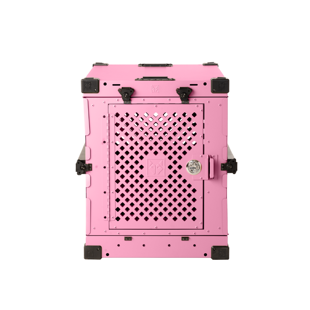 Collapsible Hard-Sided Dog Crate, 24" / Pink