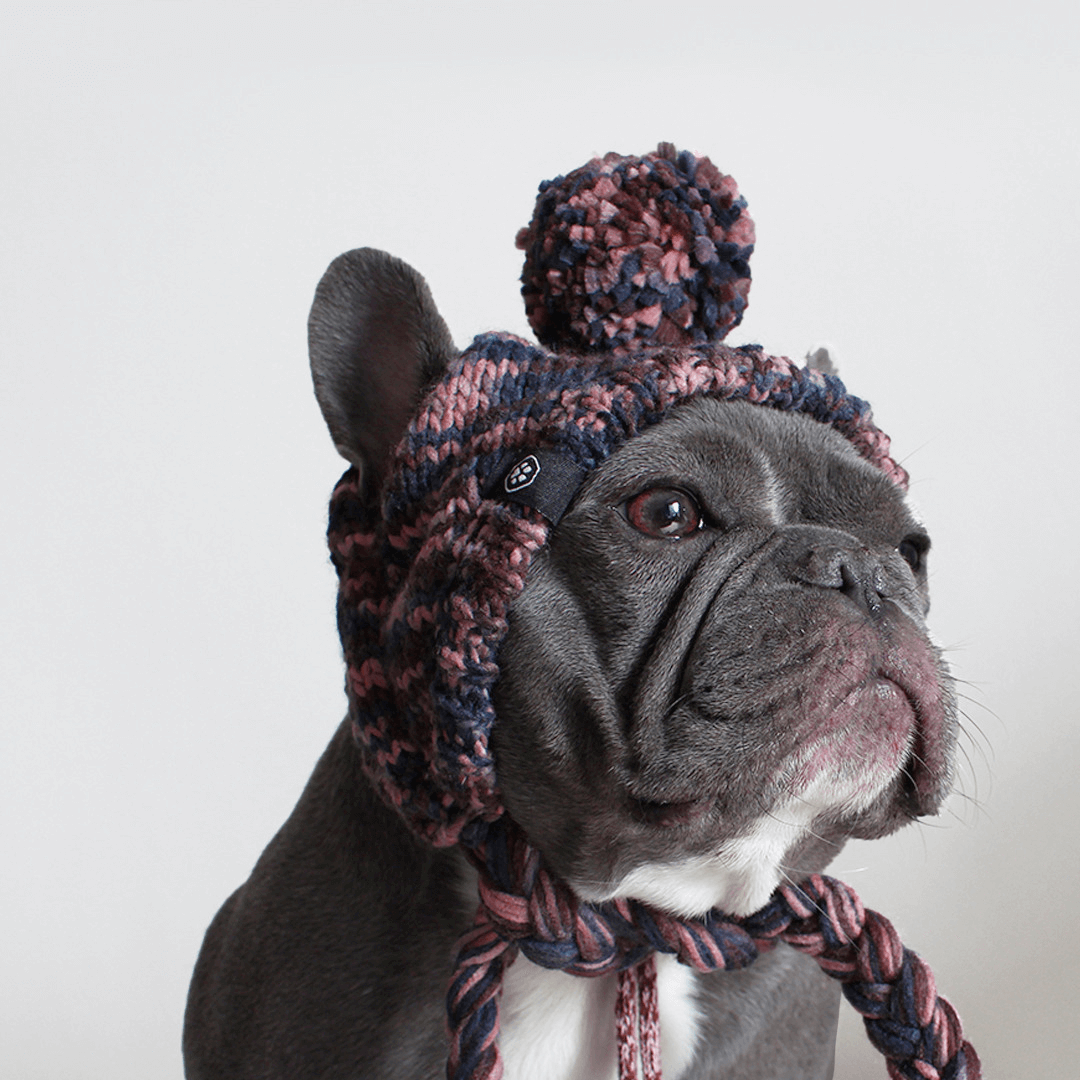 Knit Pom-Pom Dog Beanie, Hat - Brown / S (10-15lbs/4.5-7kg)
