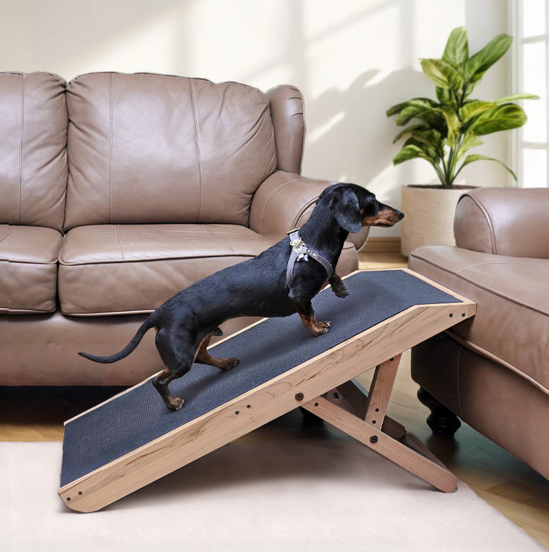 The best dog ramp for couch