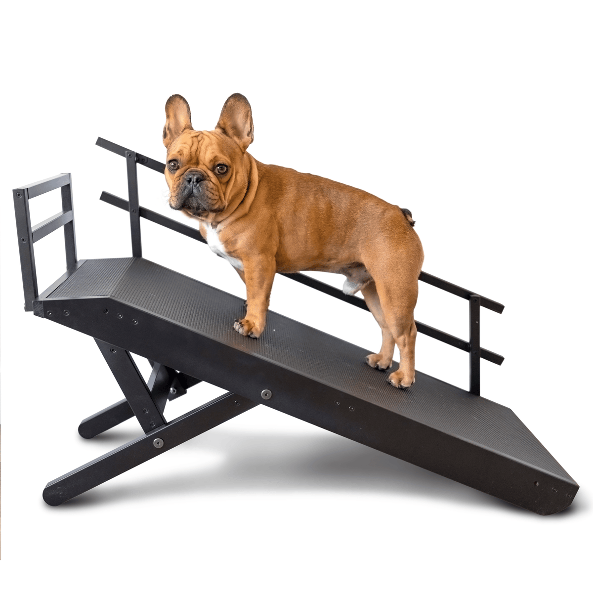 Foldable Non Slip Dog Ramp for Couch, Jet Black / With Rails