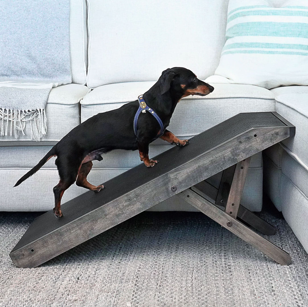 Foldable Non Slip Dog Ramp for Couch, Coastal Grey / Without Rails