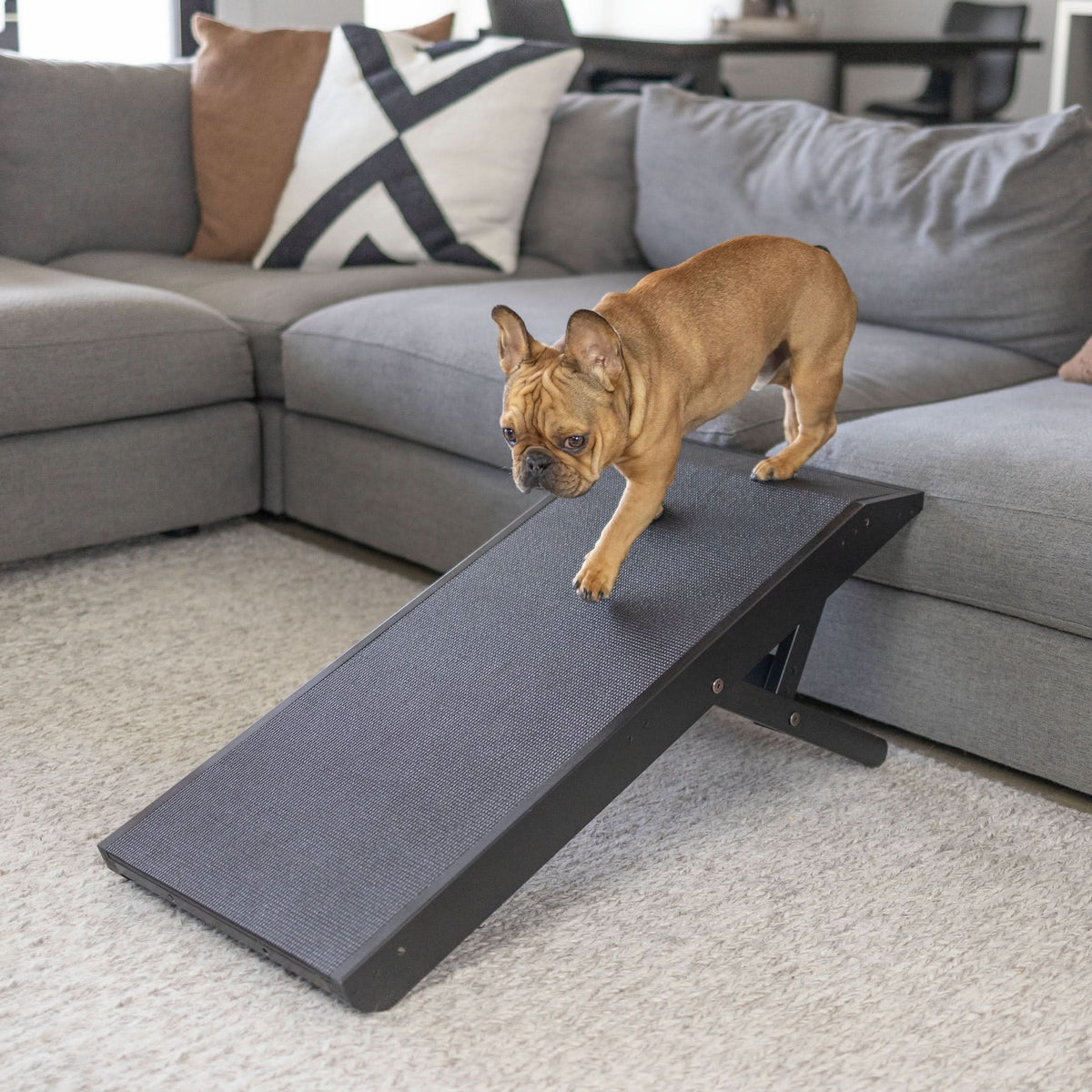 Foldable Non Slip Dog Ramp for Couch, Jet Black / Without Rails