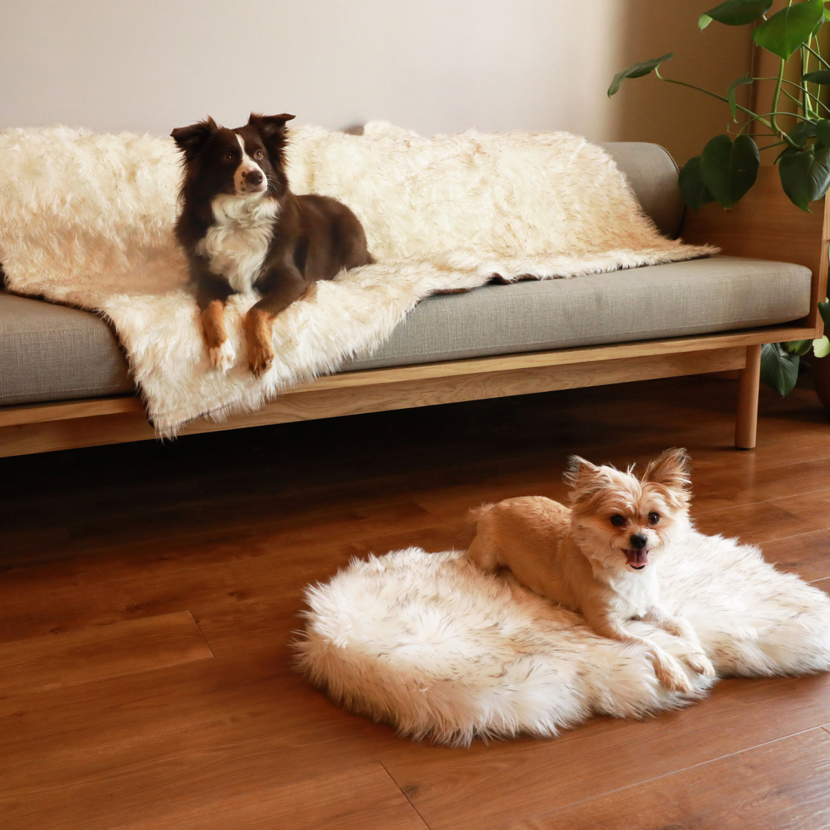 Orthopedic Dog Bed and Waterproof Blanket Bundle, Small Bed - 30" L x 20" W + & Original Blanket - 60" x 50"