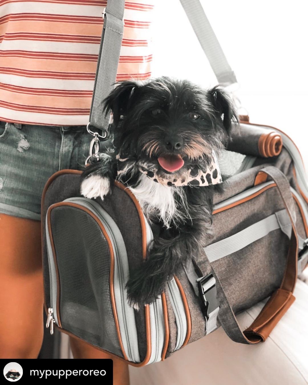 Mr. Peanut's Gold Series Big Apple XL Expandable Pet Carrier V3.0 product image 11