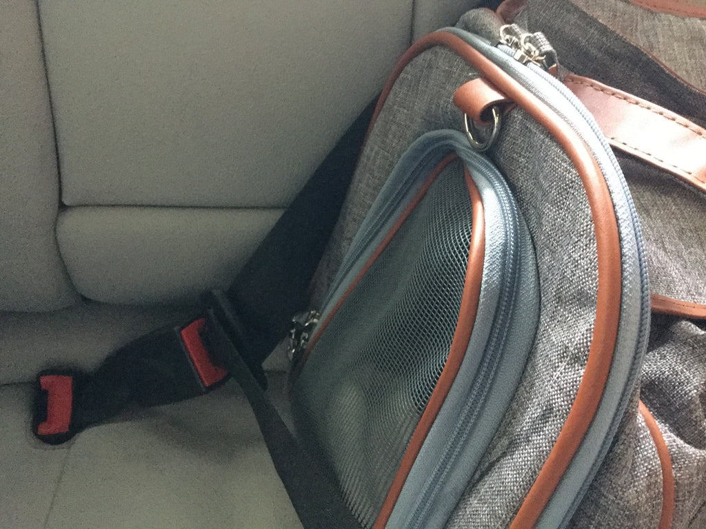 Mr. Peanut's Gold Series Big Apple XL Expandable Pet Carrier V3.0 product image 13