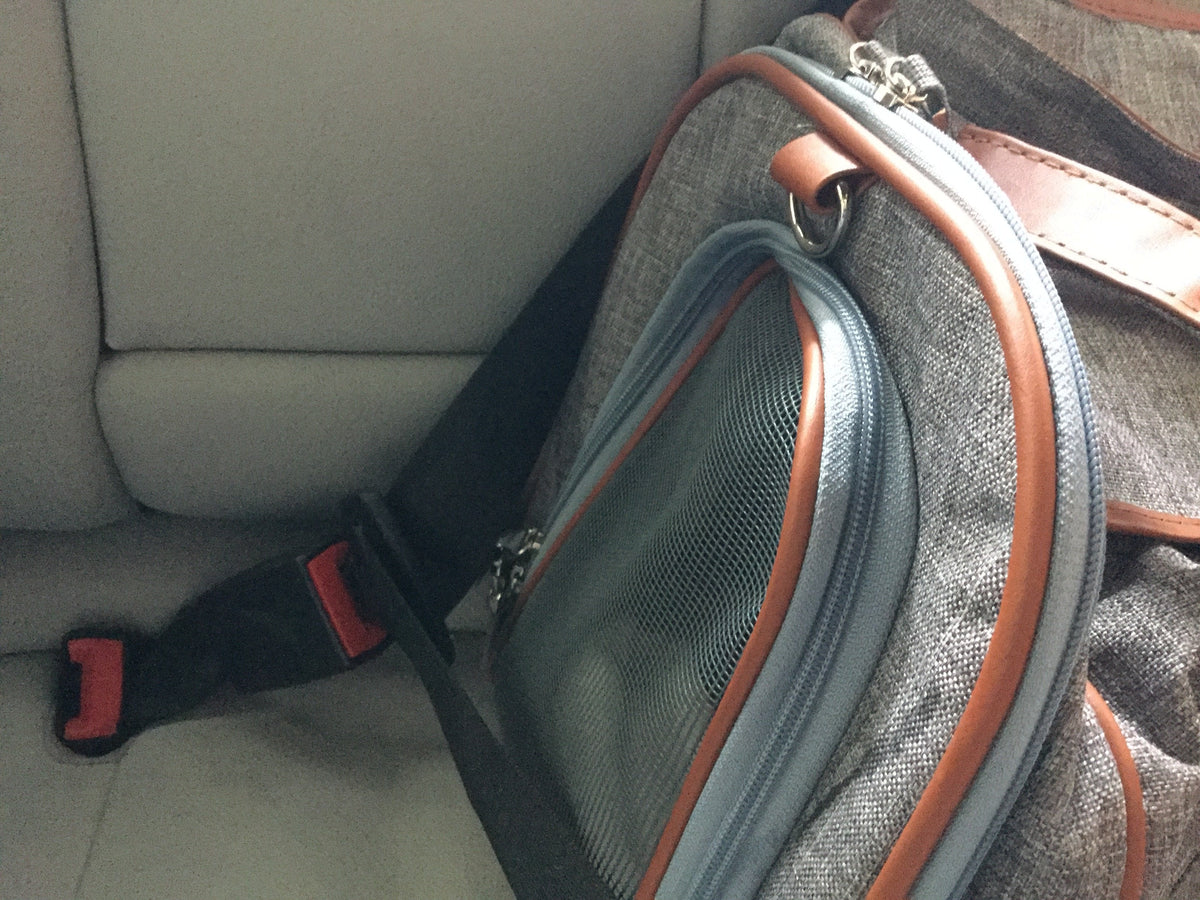 Mr. Peanut's Gold Series Big Apple XL Expandable Pet Carrier V3.0 product image 13
