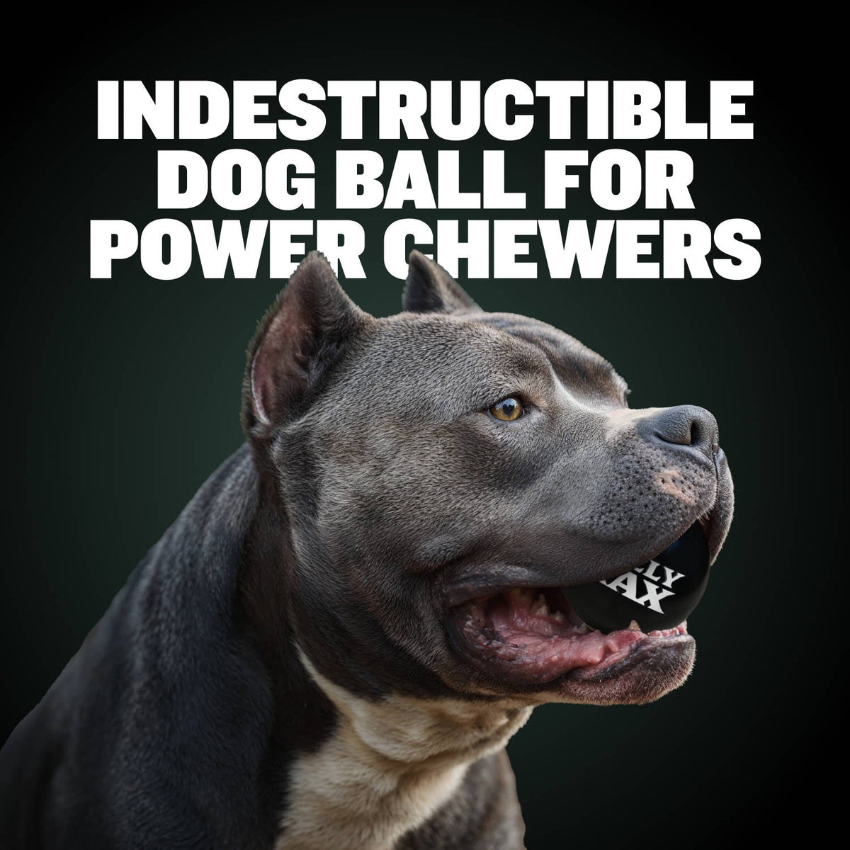 Heavy-Duty Rubber Dog Ball product image 2